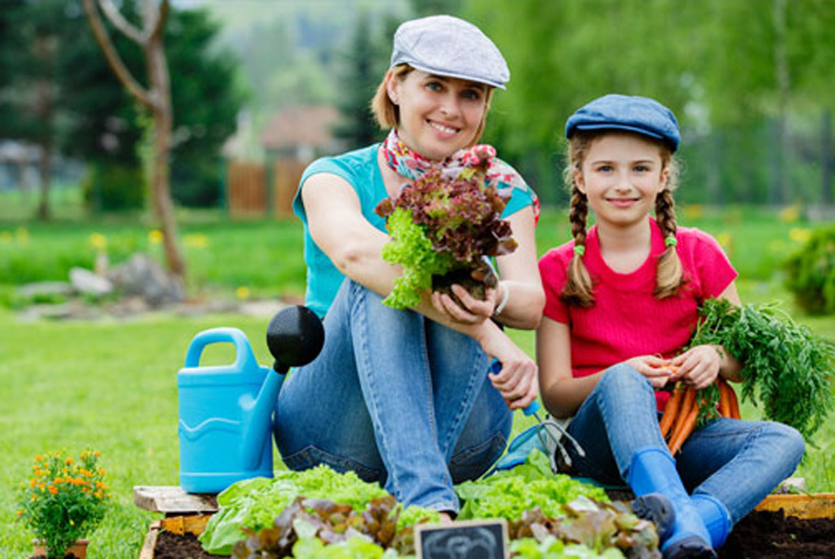 Gardening Repair